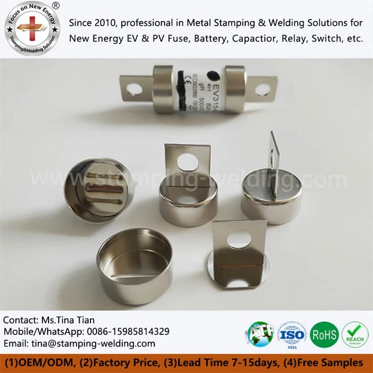 Fuse End Blades For EV